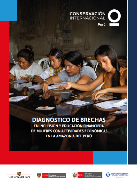 Diagnóstico de brechas en inclusión y educación financiera
